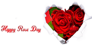 Happy Rose Day Png Image - Happy Wedding Anniversary Brother And Sister In Law, Transparent Png PNG image with transparent background