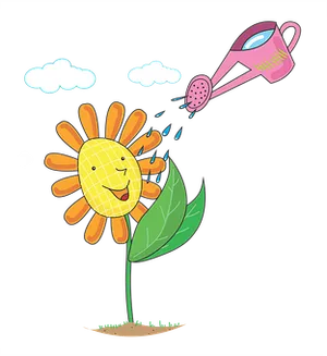 Happy Sunflower Being Watered PNG Image