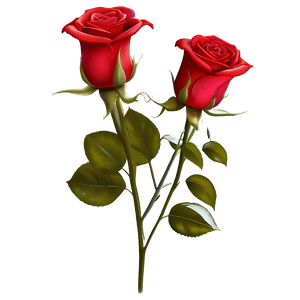 Happy Valentines Day Roses PNG gqs PNG image with transparent background