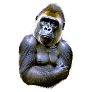 Harambe The Gorilla Portrait Png Tqn PNG Image