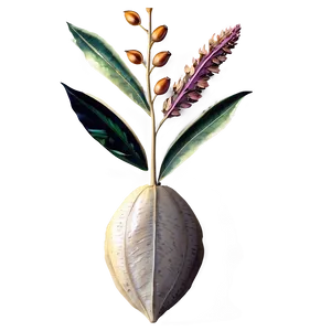 Harvest Floral Png 23 PNG Image