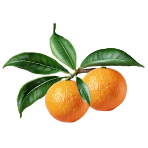 Harvest Ready Orange Tree Png Ypp PNG Image