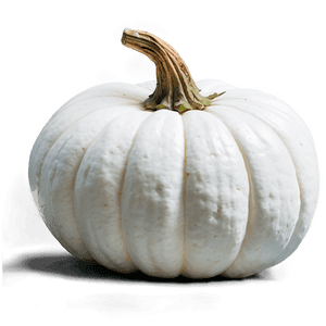 Harvest White Pumpkin PNG 16 PNG