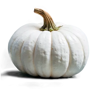 Harvest White Pumpkin Png 16 PNG Image