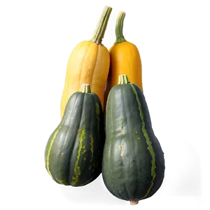 Harvested Squash Png 06122024 PNG Image