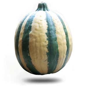 Harvested Squash PNG 42 PNG with transparent background