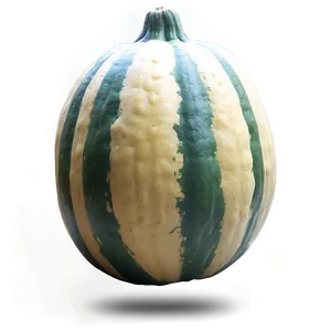 Harvested Squash Png 42 PNG Image