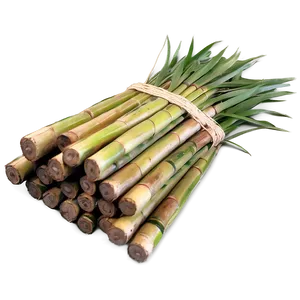 Harvested Sugarcane Bundle Png Akw10 PNG Image