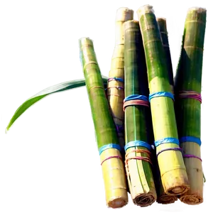 Harvested Sugarcane Bundle Png Lxe11 PNG Image