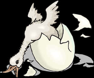 Hatching Chick Illustration PNG image with transparent background