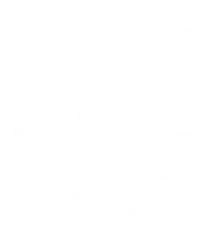 Hawaiian_ Hibiscus_ Silhouette_ Vector PNG Image