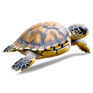 Hawaiian Islands Sea Turtle Encounter Png Fsw PNG Image