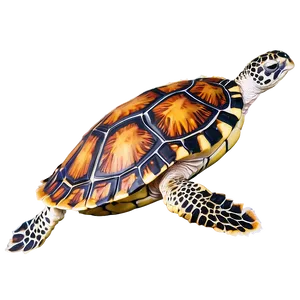 Hawksbill Sea Turtle Swimming Png Lpt54 PNG Image