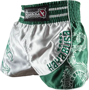 Hayabusa Muay Thai Shorts Green Dragon PNG Image