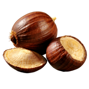 Hazelnut PNG ump73 PNG with transparent background