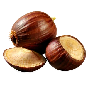 Hazelnut Png Ump73 PNG Image