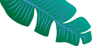 Header Leaf Image - Blue Banana Leaf Png, Transparent Png PNG image with transparent background