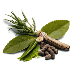 Healing Herb PNG 20 PNG