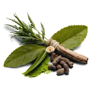 Healing Herb Png 20 PNG Image