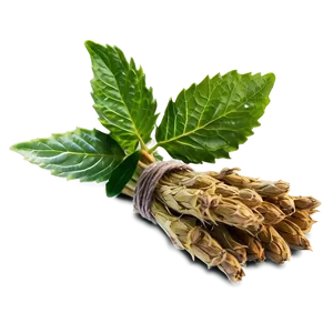 Healing Herb Png Sdu33 PNG Image