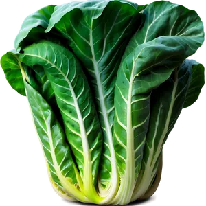 Healthy Collard Greens Png Epo23 PNG Image