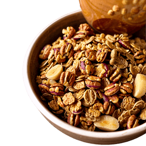 Healthy Granola Bowl PNG 87 PNG image with transparent background