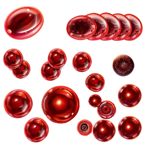 Healthy Red Blood Cells Png Cdj83 PNG Image