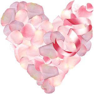 St Valentin Petals Pink Free Picture - Heart, HD Png Download PNG image with transparent background