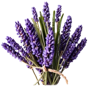 Heather And Lavender Mix Png 06122024 PNG Image