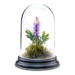 Heather In Glass Dome Png 41 PNG Image