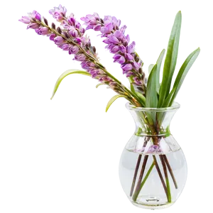 Heather In Vase Png Jhr88 PNG Image