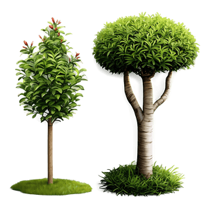 Hedge Shrubs PNG byx PNG