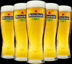 Heineken Beer Glassesina Row PNG image with transparent background