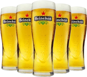 Heineken Beer Glassesina Row PNG Image