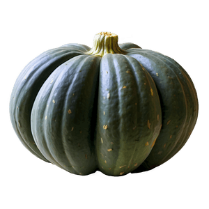 Heirloom Squash PNG ihk85 PNG with transparent background