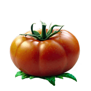 Heirloom Tomato Plant PNG 06212024 PNG