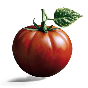 Heirloom Tomato Plant PNG jby18 PNG