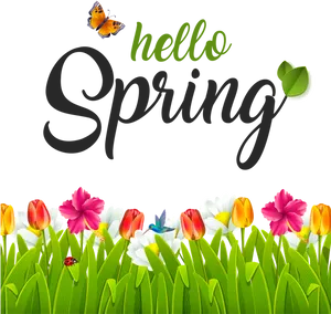 Hello Spring Greeting Card Design PNG Image