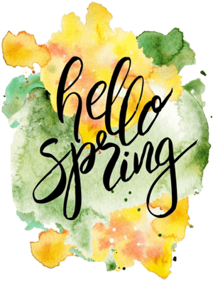 #usewhitebackground #hello #spring #hellospring - Hello Spring, HD Png Download PNG image with transparent background