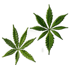 Hemp Leaf Closeup PNG ryu PNG image with transparent background