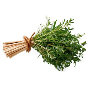 Herb Bundle PNG 06272024 PNG with transparent background