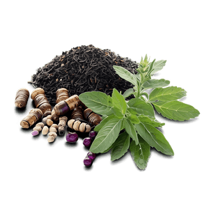 Herb for Health PNG mpq64 PNG with transparent background