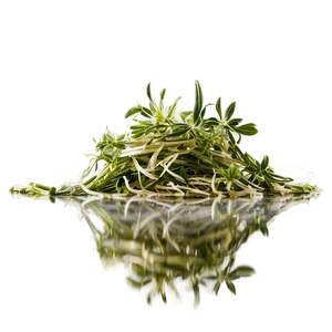 Herb Infusion Png Roo92 PNG Image