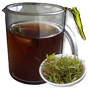 Herbal Iced Tea Mix PNG 06242024 PNG