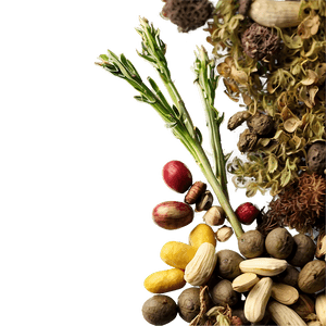 Herbal Mix PNG nit PNG with transparent background