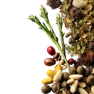 Herbal Mix Png Nit PNG Image