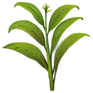 Herbal Plant Clipart Png Ore18 PNG Image