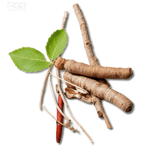 Herbal Root Medicine PNG 06252024 PNG with transparent background