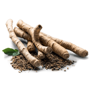 Herbal Root Medicine PNG 38 PNG with transparent background