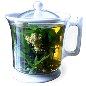 Herbal Tea Cup PNG 14 PNG